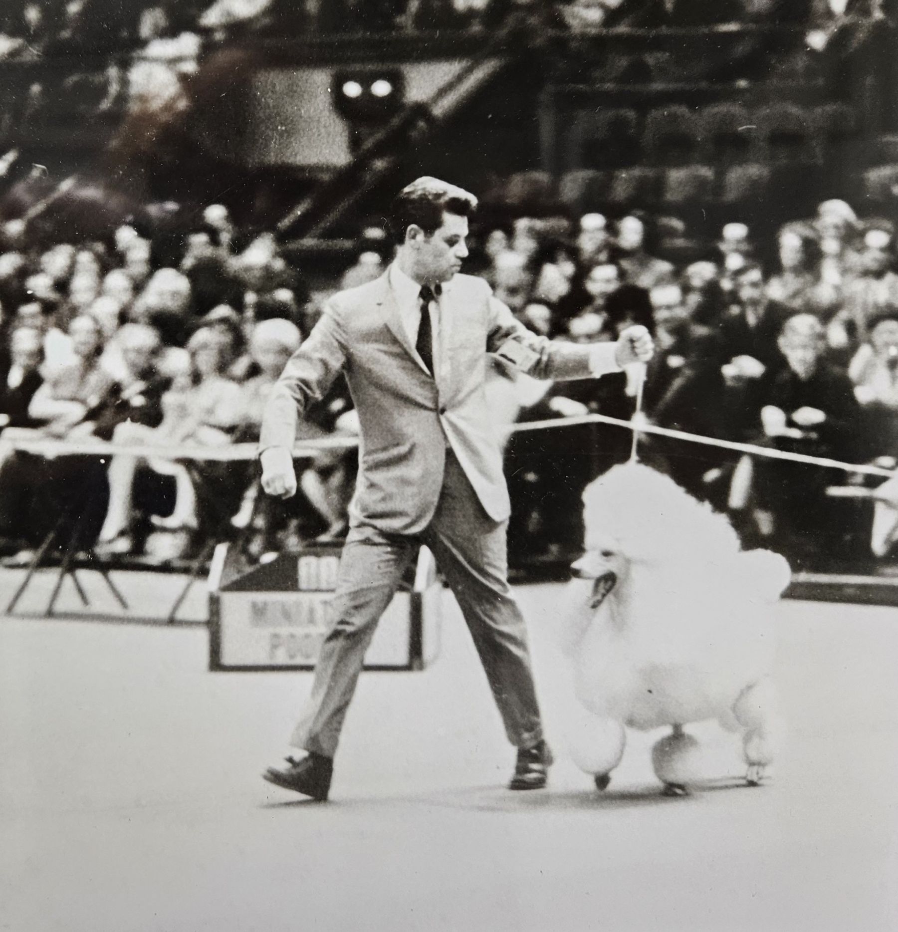 Question of the Week